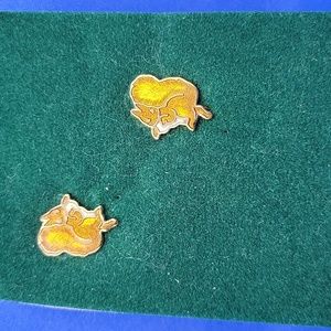 Vintage Earrings ❤️